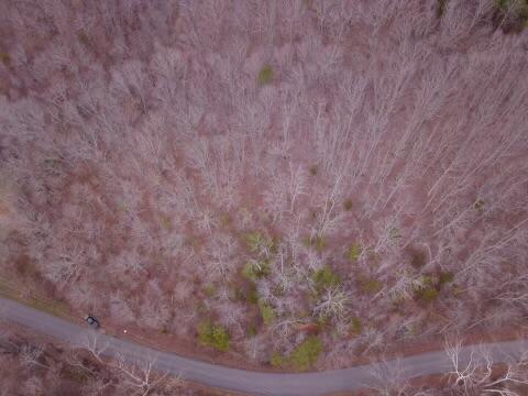 Tbd Shiloh Road Decatur, TN 37322 - Photo 7 of 9 IMG_1898