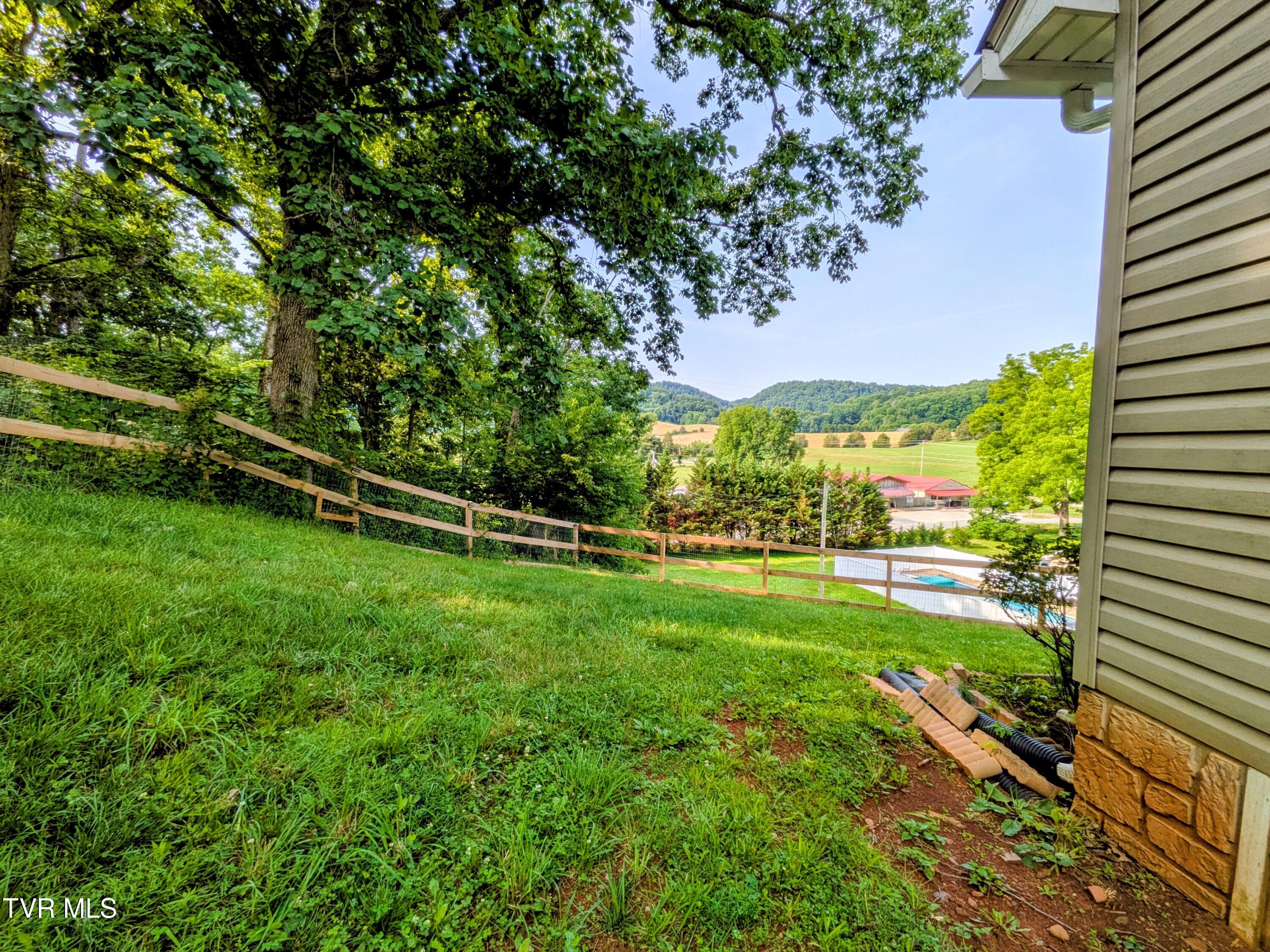 113 Nave Hollow Road Elizabethton, TN 37643 - Photo 80 of 91 Yard(5)