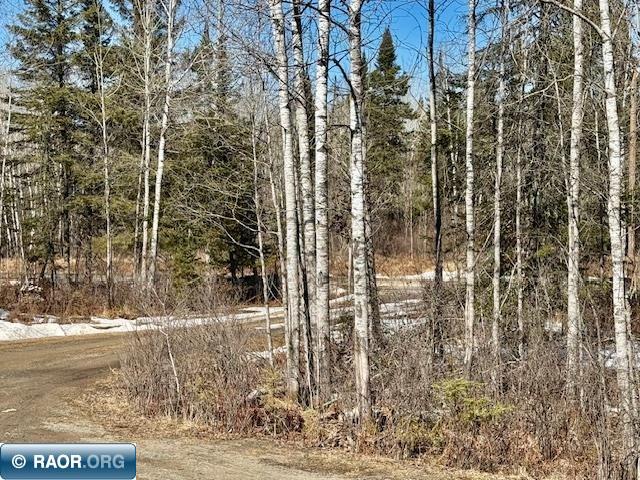 8292 Johnson Road Cook, MN 55723 - Photo 12 of 14