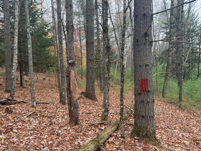 $80,000 | L55 Storer Hill Road, Carthage, ME 04224