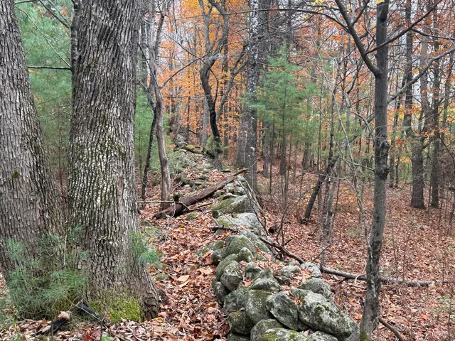 $80,000 | L55 Storer Hill Road, Carthage, ME 04224