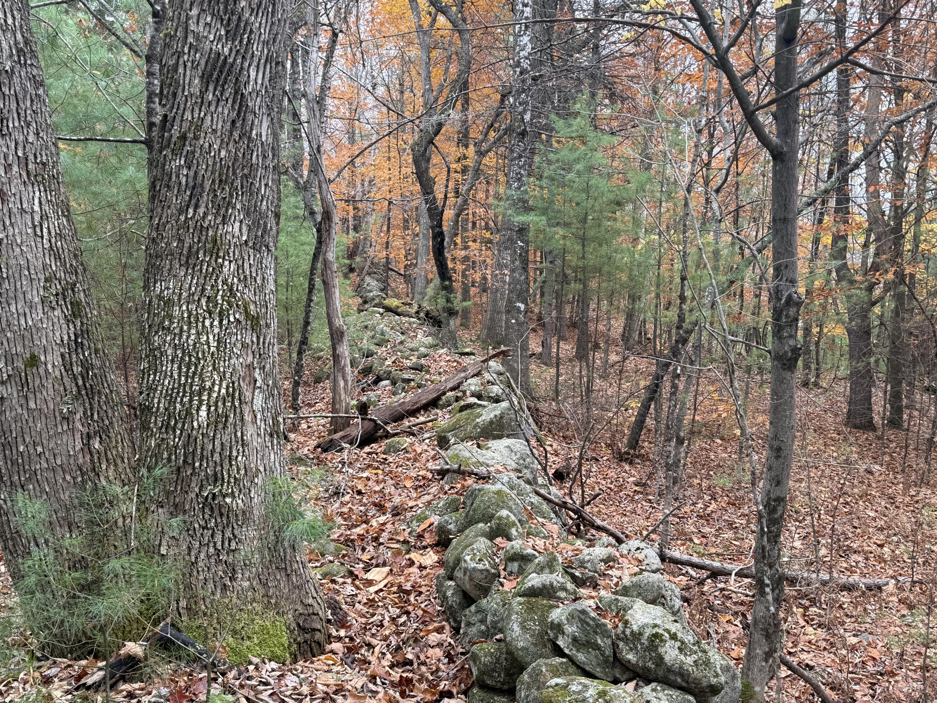 L55 Storer Hill Road Carthage, ME 04224 - Photo 2 of 5 IMG_8404