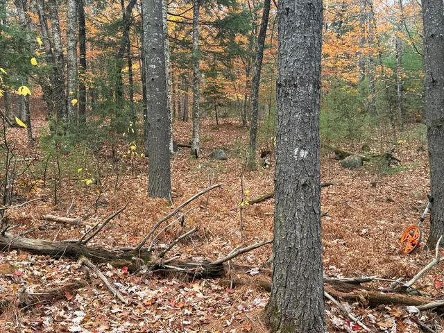 $80,000 | L55 Storer Hill Road, Carthage, ME 04224