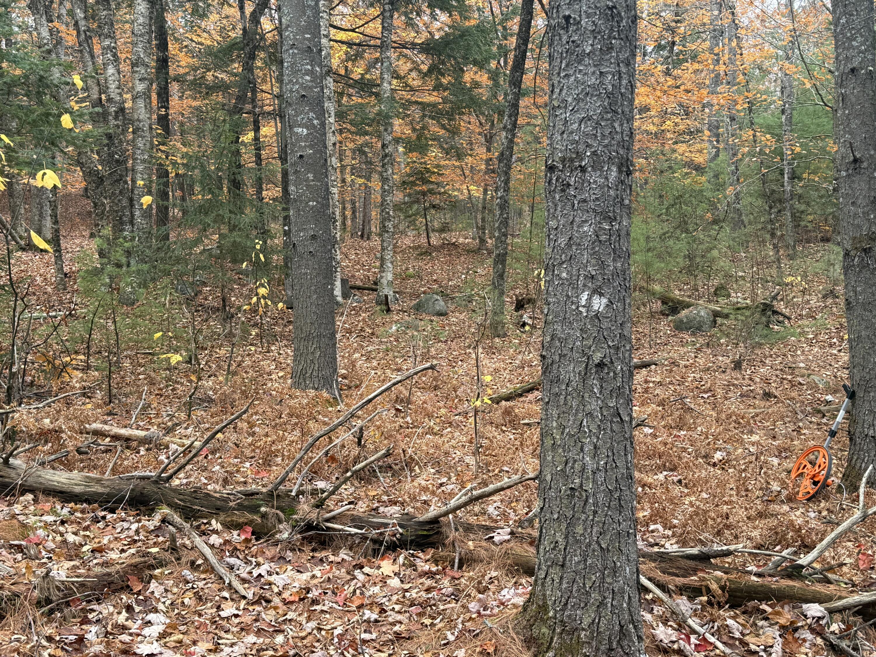 L55 Storer Hill Road Carthage, ME 04224 - Photo 3 of 5 IMG_8403(1)