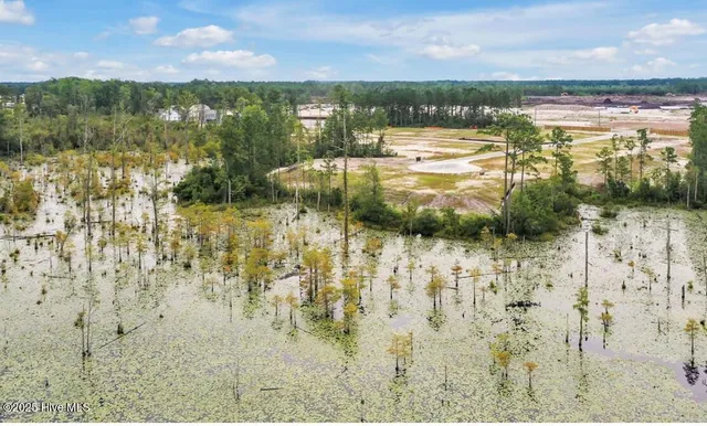 $439,905 | 2004 Red Woodpecker Court, Unit 38, Leland, NC 28451