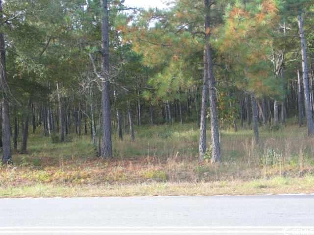 1323 State Rd S-40-1322 Eastover, SC 29044 - Photo 1 of 1