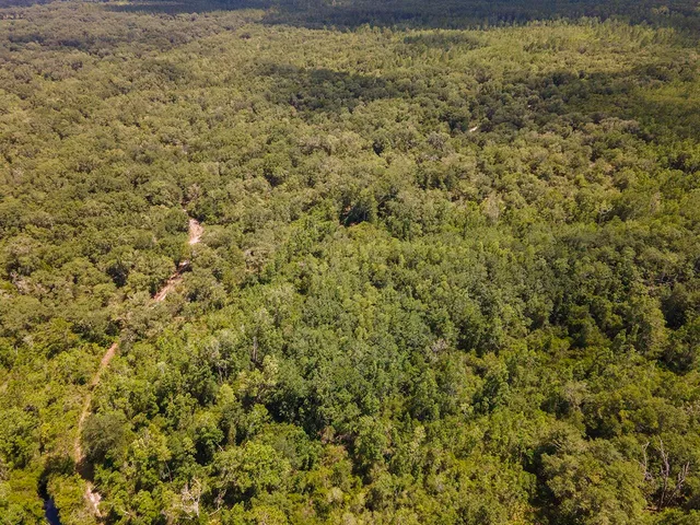 $1,551,000 | Vacant Southwest Hike Lake Road, Madison, FL 32340