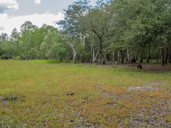 $1,551,000 | Vacant Southwest Hike Lake Road, Madison, FL 32340