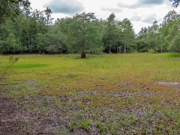 $1,551,000 | Vacant Southwest Hike Lake Road, Madison, FL 32340