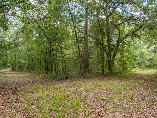 $1,551,000 | Vacant Southwest Hike Lake Road, Madison, FL 32340