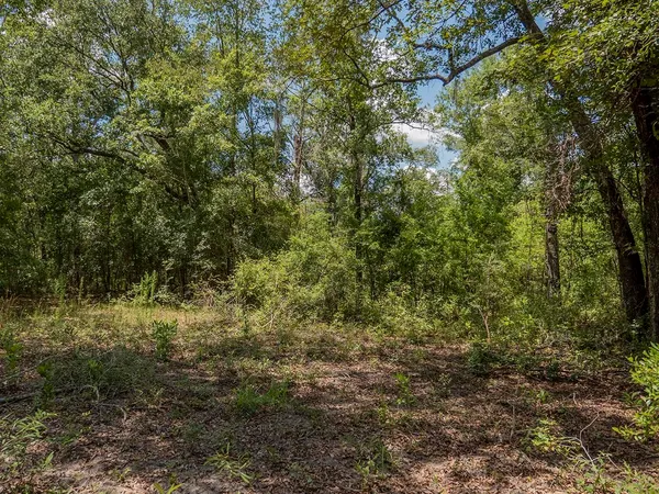 $1,551,000 | Vacant Southwest Hike Lake Road, Madison, FL 32340