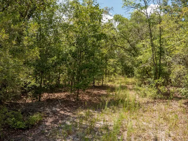 $1,551,000 | Vacant Southwest Hike Lake Road, Madison, FL 32340