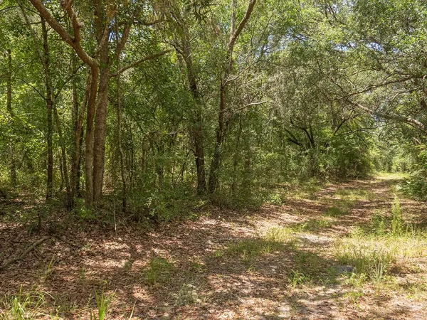 $1,551,000 | Vacant Southwest Hike Lake Road, Madison, FL 32340
