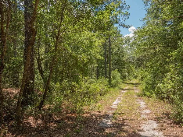 $1,551,000 | Vacant Southwest Hike Lake Road, Madison, FL 32340
