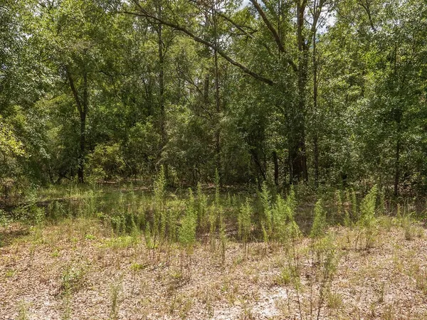 $1,551,000 | Vacant Southwest Hike Lake Road, Madison, FL 32340