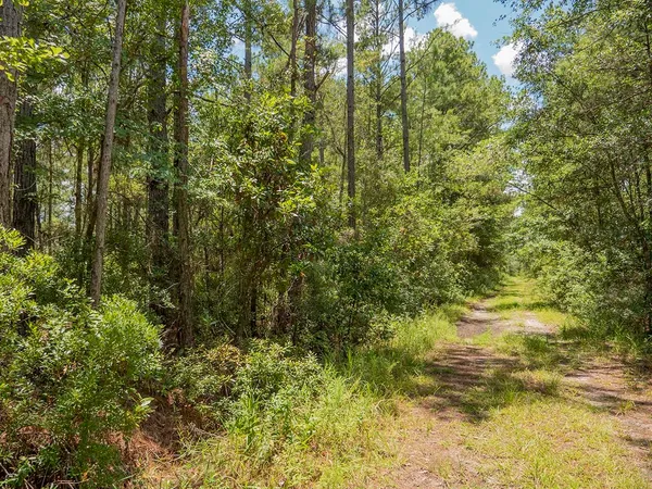 $1,551,000 | Vacant Southwest Hike Lake Road, Madison, FL 32340