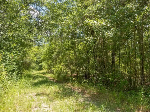 $1,551,000 | Vacant Southwest Hike Lake Road, Madison, FL 32340