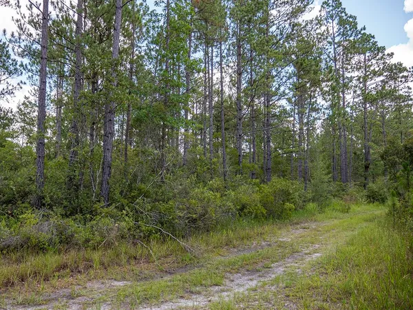$1,551,000 | Vacant Southwest Hike Lake Road, Madison, FL 32340