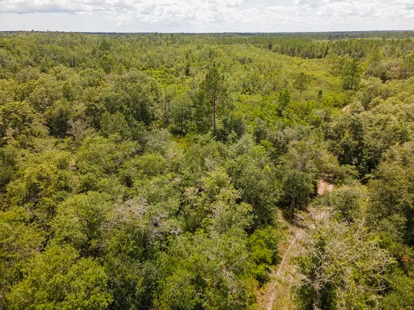 $1,551,000 | Vacant Southwest Hike Lake Road, Madison, FL 32340