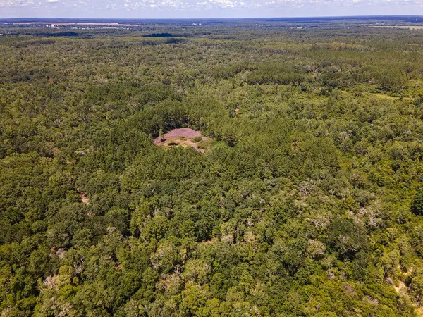 $1,551,000 | Vacant Southwest Hike Lake Road, Madison, FL 32340