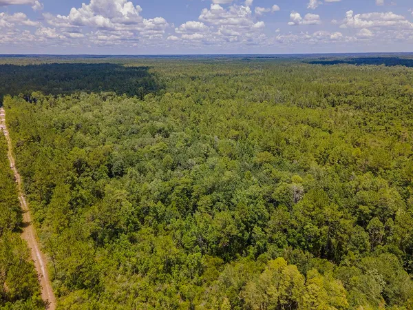 $1,551,000 | Vacant Southwest Hike Lake Road, Madison, FL 32340