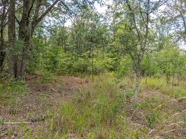 $1,551,000 | Vacant Southwest Hike Lake Road, Madison, FL 32340