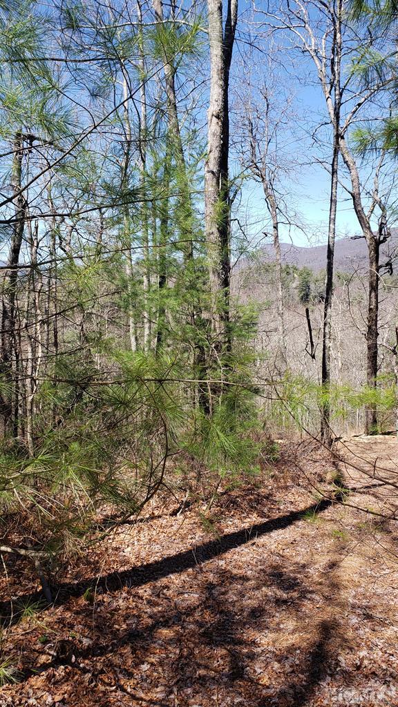5 Running Fox Road Sapphire, NC 28774 - Photo 3 of 8 Gallery Image 3