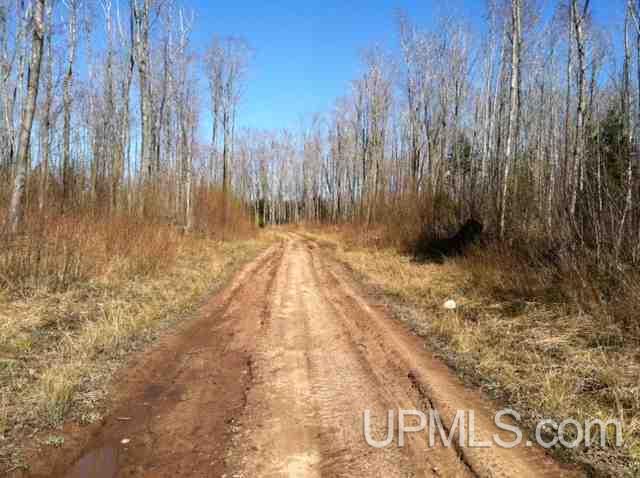 Tbd Tbd Off Puuri Road Atlantic Mine, MI 49905 - Photo 28 of 34