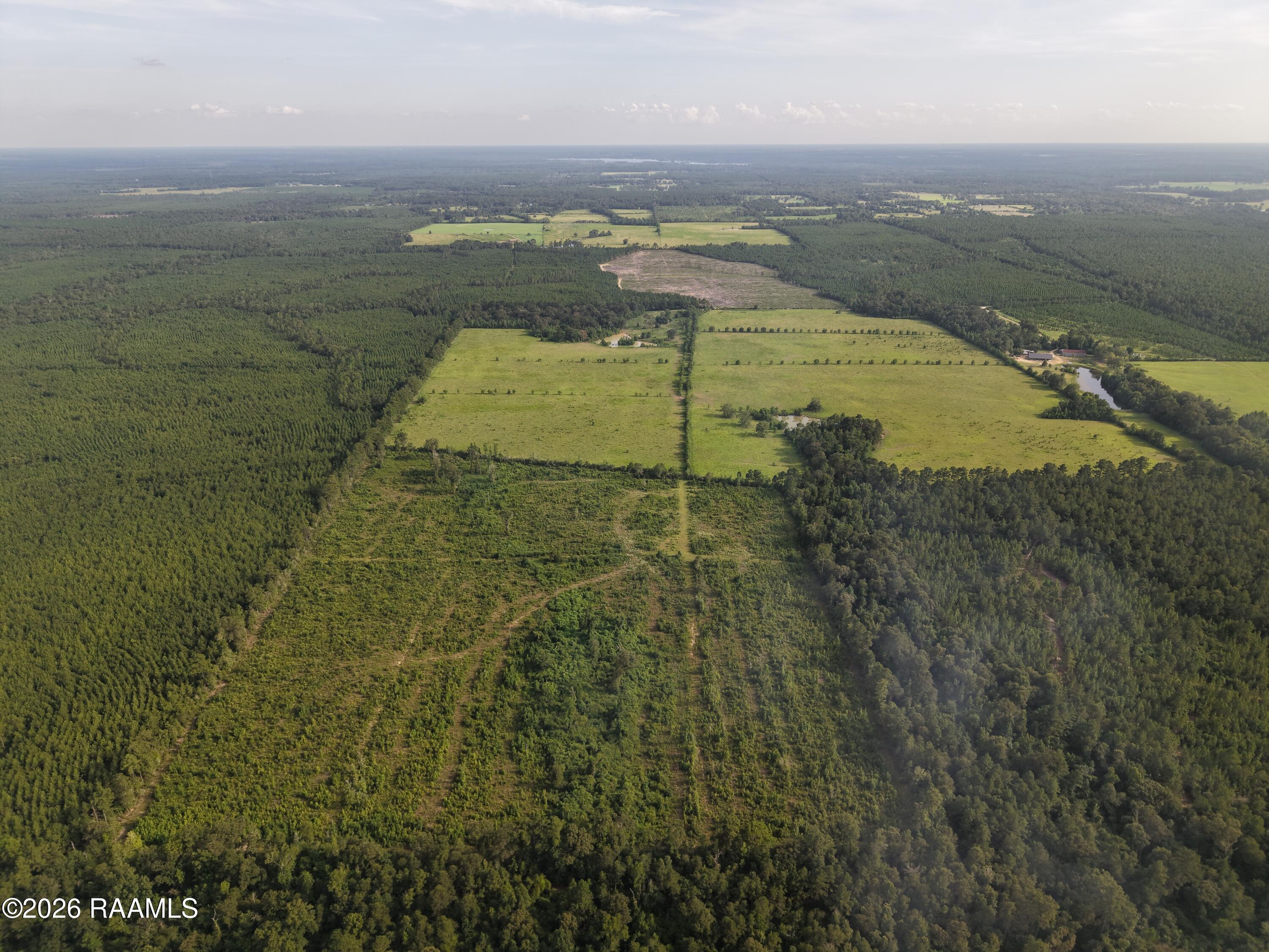 0 Rutherford Road Deridder, LA 70634 - Photo 7 of 25 Aerial 7