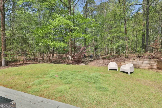 a view of a forest with trees
