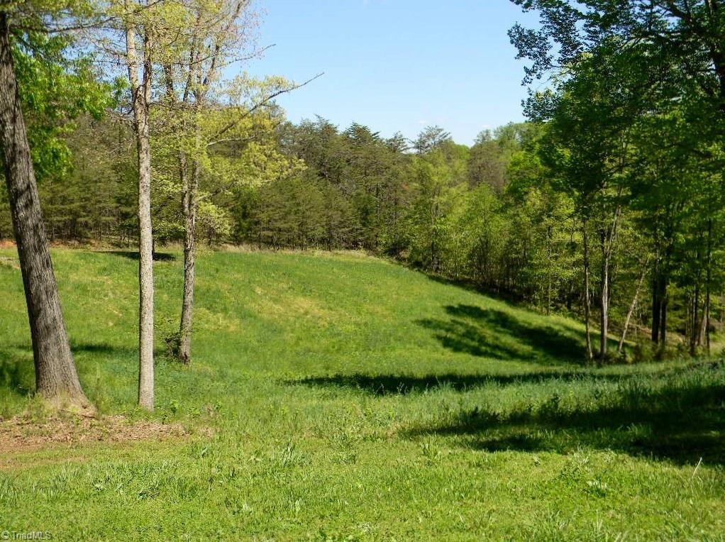 252 Palm Road, Unit 29 Reidsville, NC 27320 - Photo 2 of 20 Gallery Image 2
