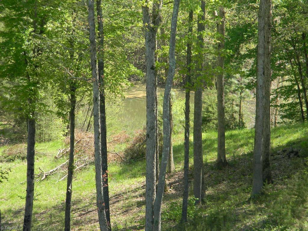 252 Palm Road, Unit 29 Reidsville, NC 27320 - Photo 13 of 20 Gallery Image 13