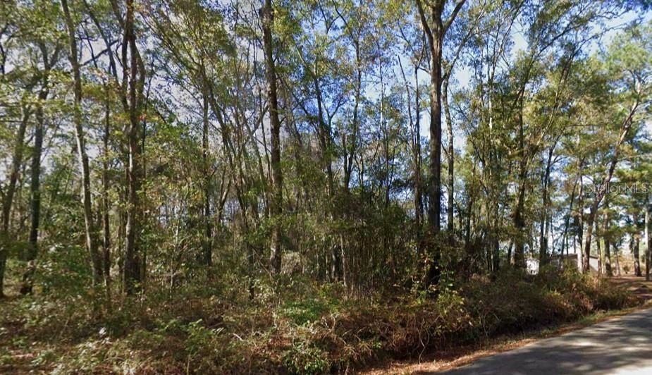 Iamonia Landing Road Tallahassee, FL 32312 - Photo 2 of 4
