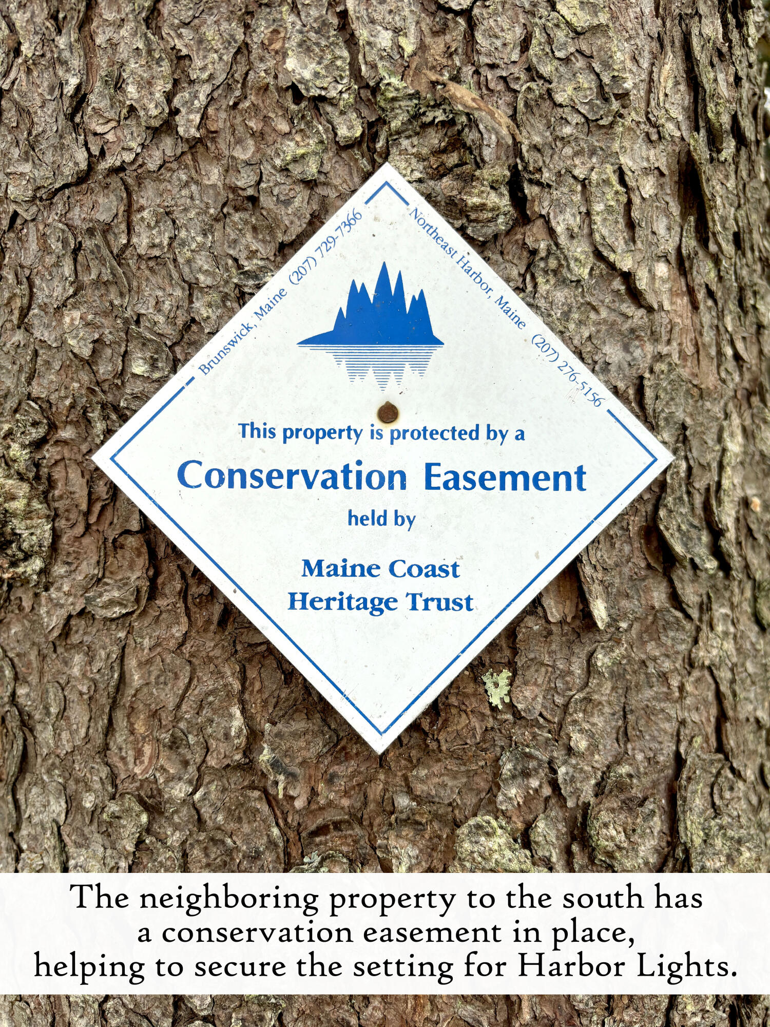 18 Hamor Lane Bar Harbor, ME 04609 - Photo 13 of 103 Neighboring Conservation Easement, label