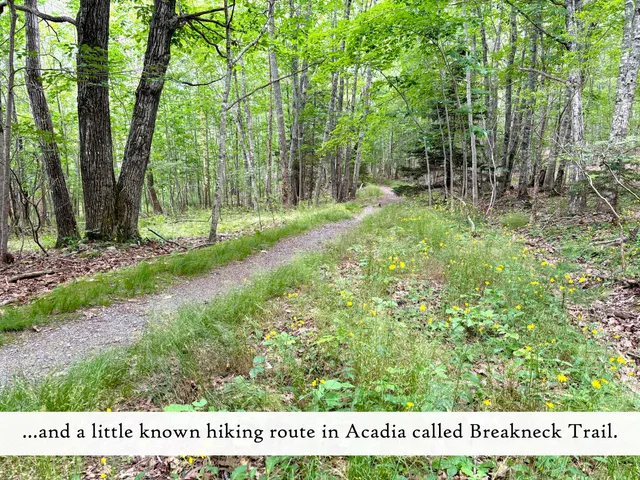 $3,200,000 | 18 Hamor Lane, Bar Harbor, ME 04609