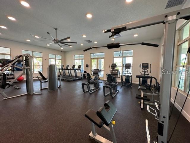 2097 King Ranch Street Kissimmee, FL 34744 - Photo 15 of 15