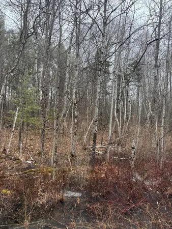 $115,000 | 51 Mc Caslin Road, China, ME 04358