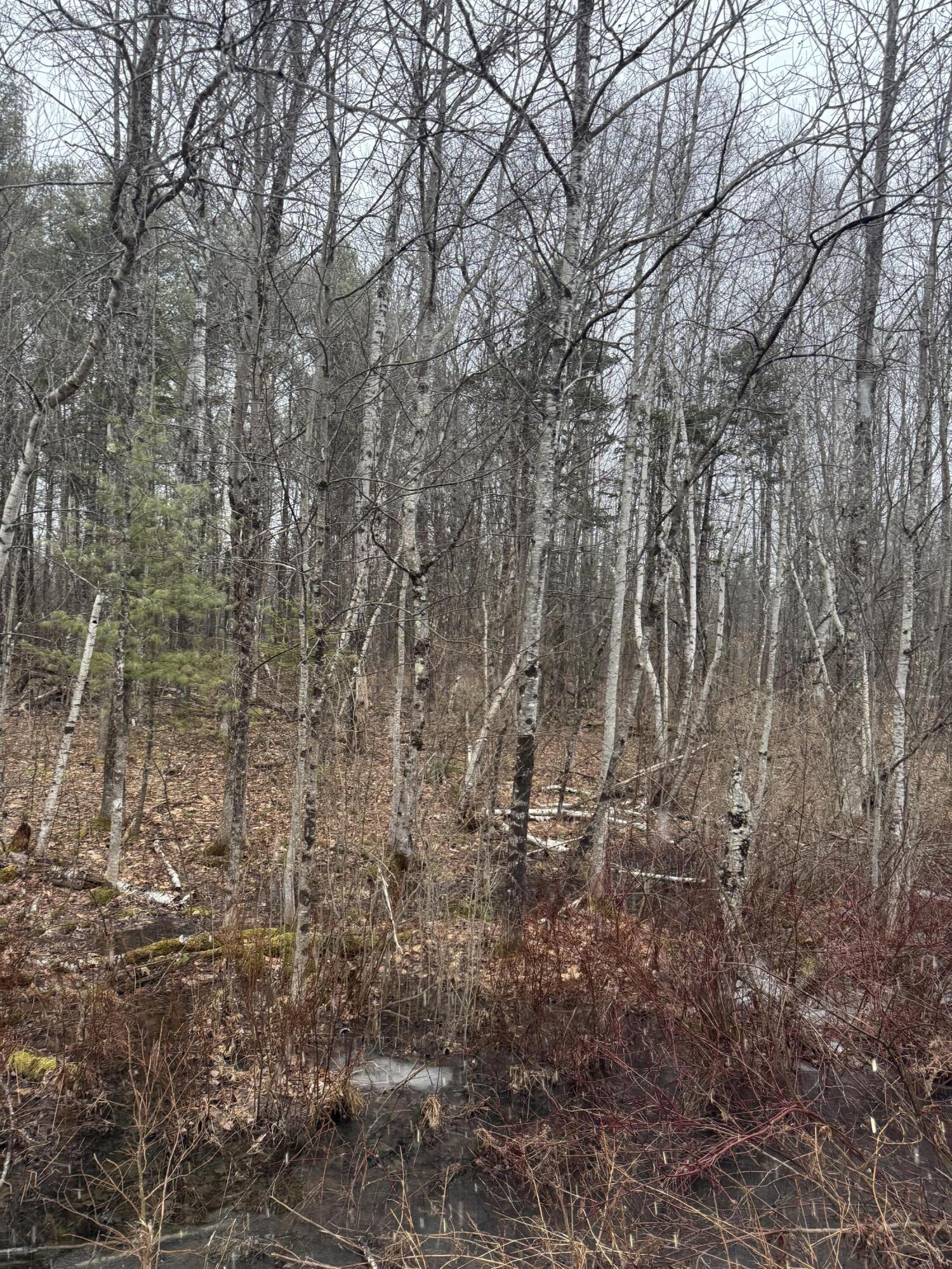 51 Mc Caslin Road China, ME 04358 - Photo 4 of 5 McCaslin Rd 2