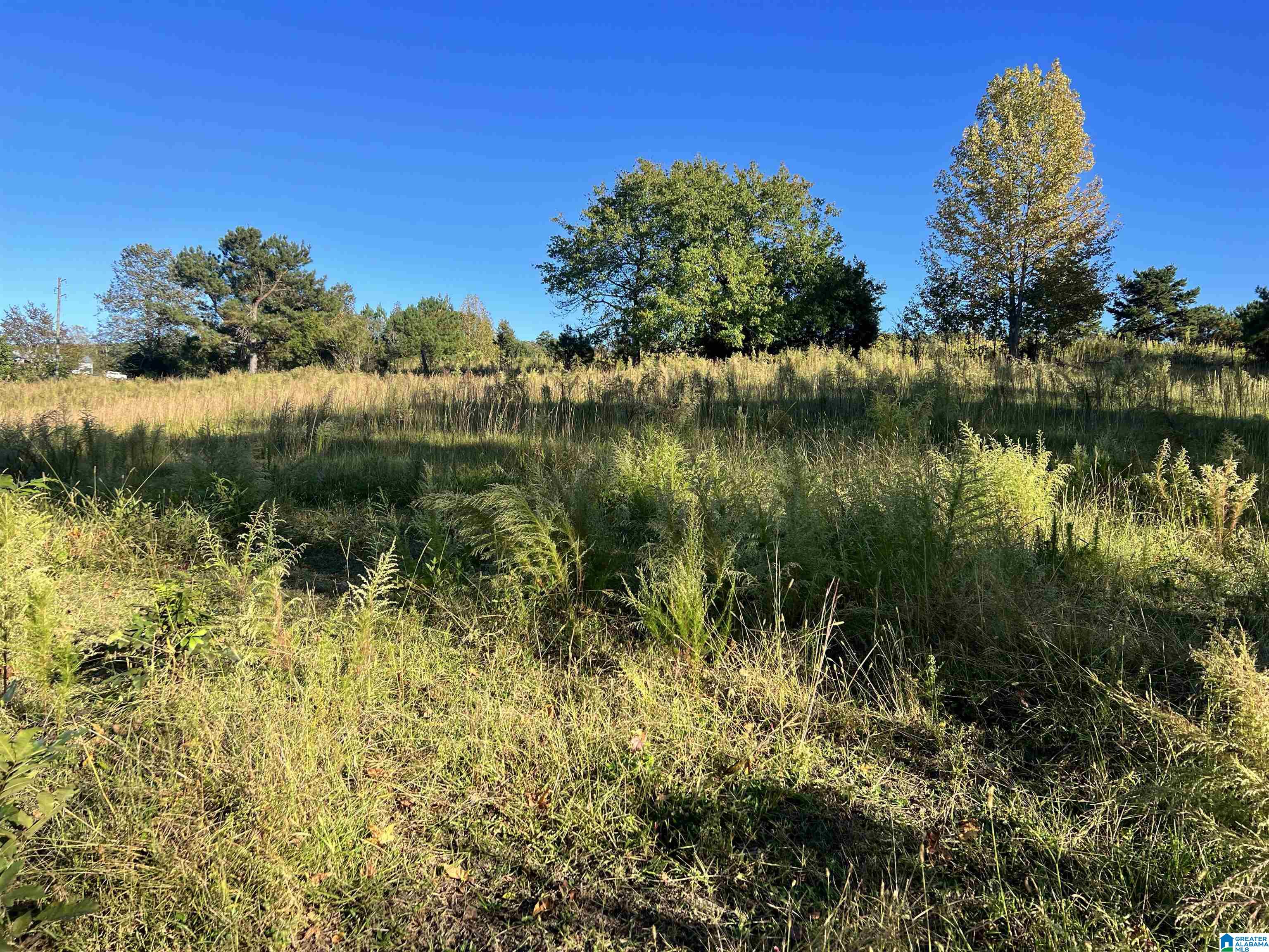 3505 County Highway 15 Cleveland, AL 35049 - Photo 26 of 26