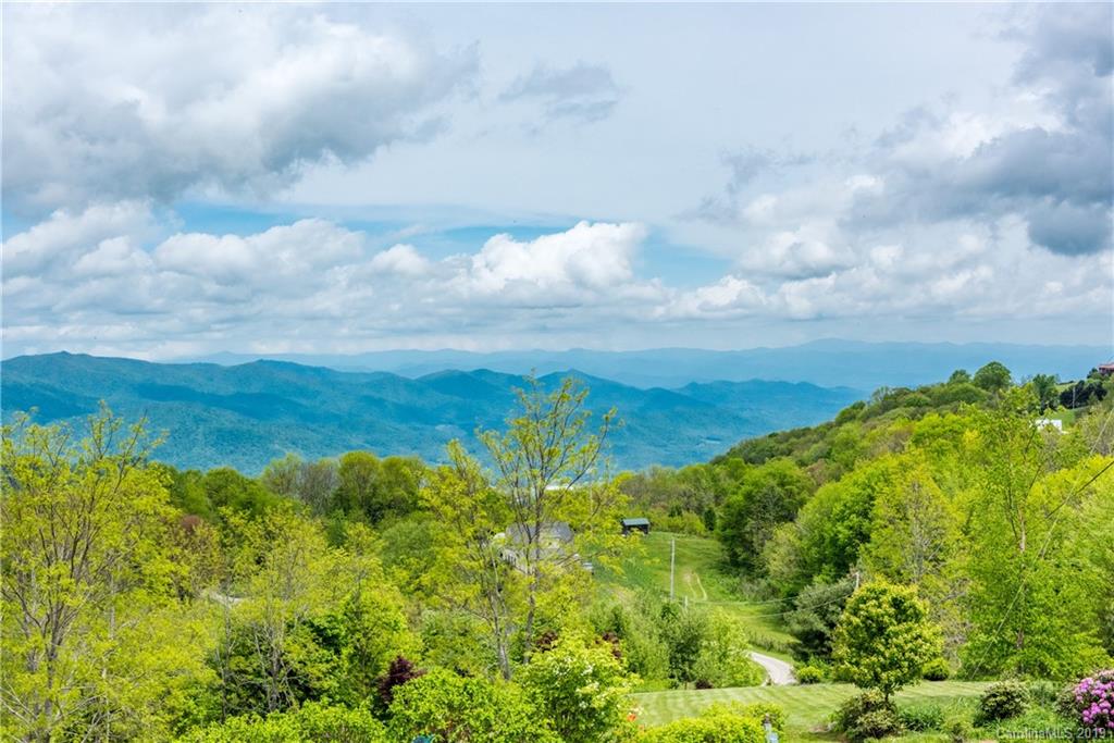 947 Windswept Ridge Road Canton, NC 28716 - Photo 33 of 48