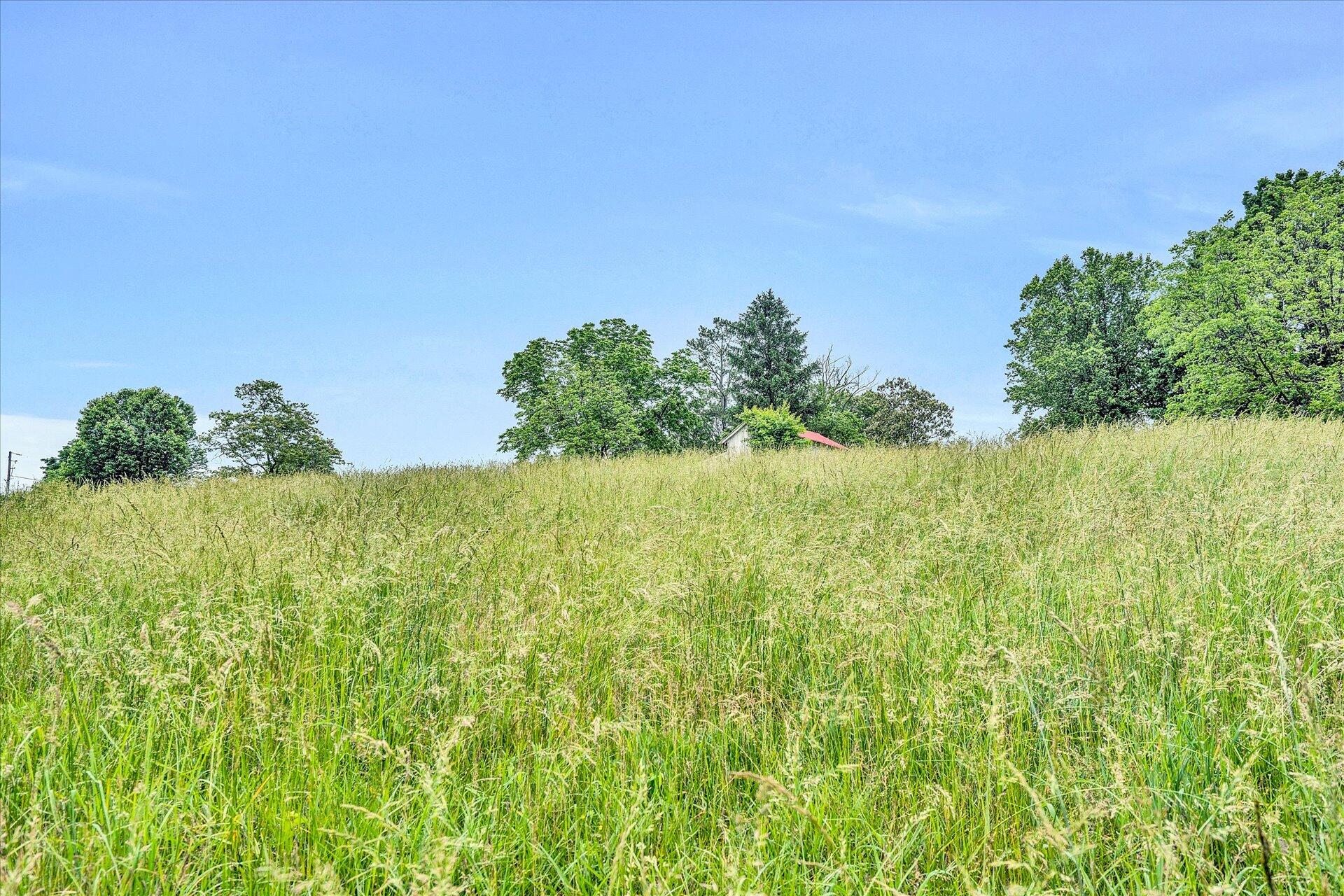 1213 Mountain View Road Vinton, VA 24179 - Photo 29 of 30 29-DSC5789