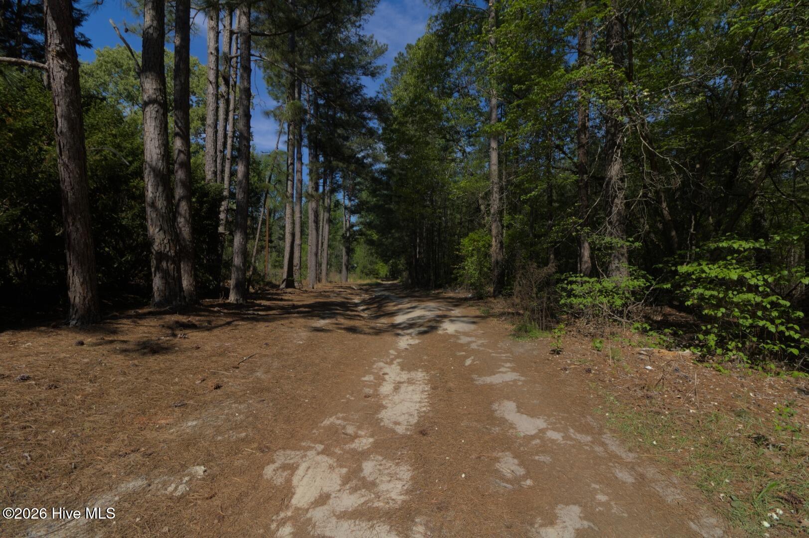 0 Sr 1226 Road Aberdeen, NC 28315 - Photo 23 of 43 Ground Site 7 Kearns Ln