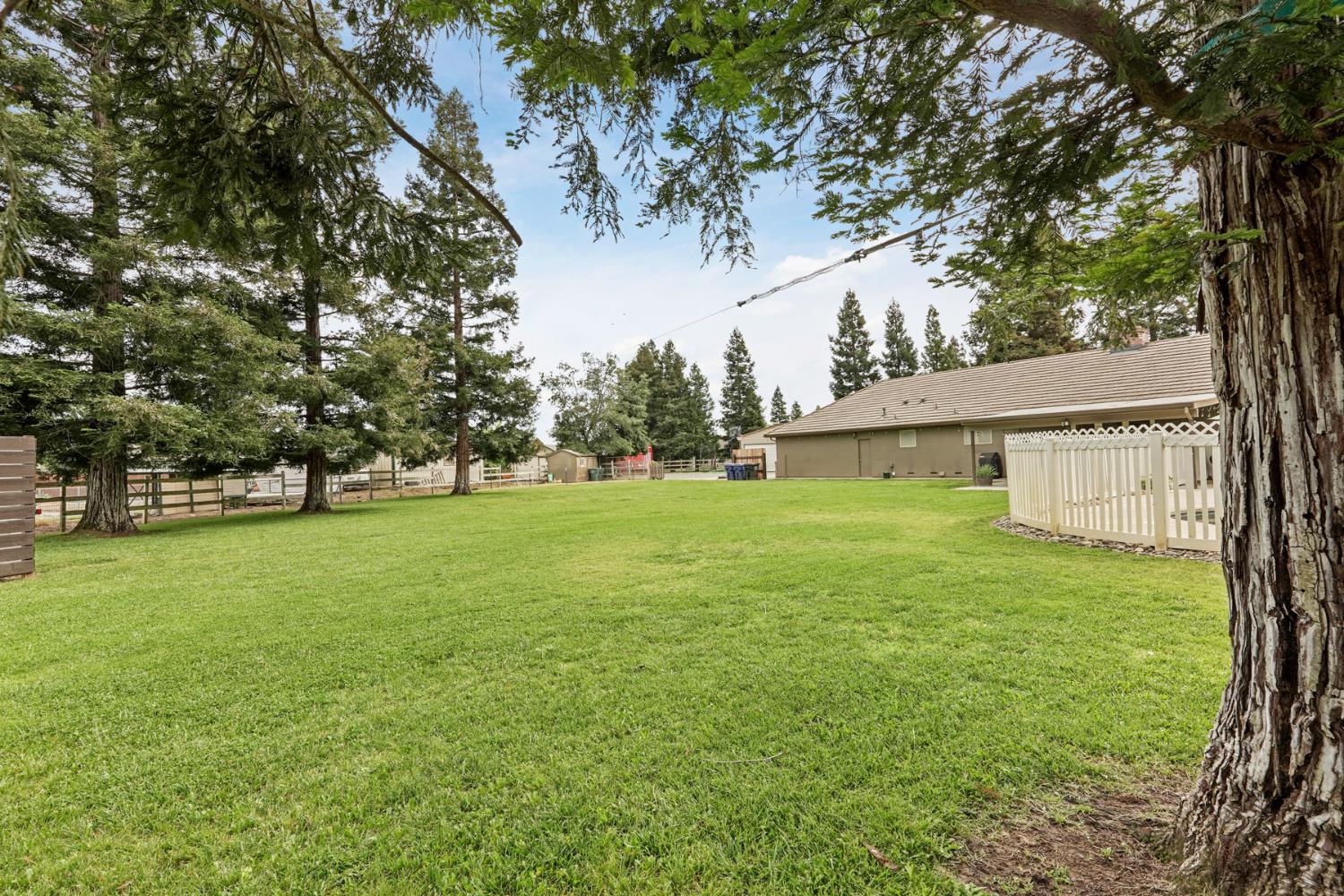 12963 Spring Time Lane Galt, CA 95632 - Photo 42 of 49 a view of yard with trees
