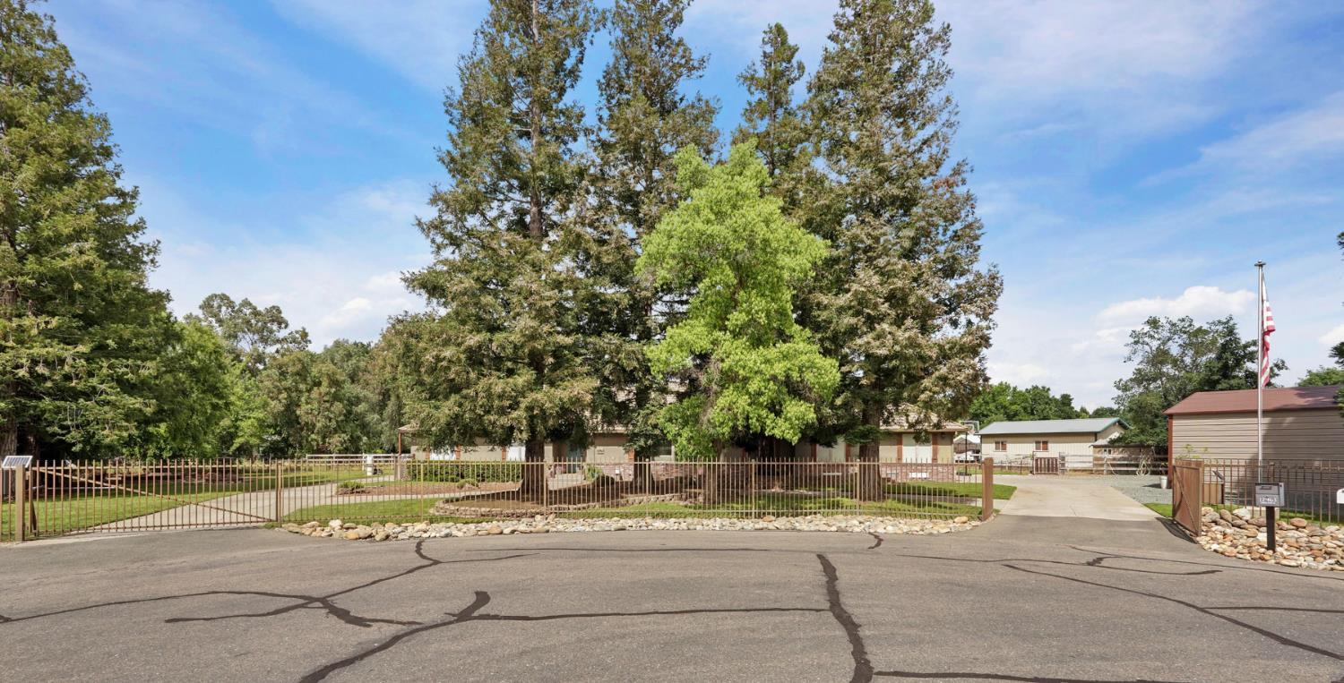 12963 Spring Time Lane Galt, CA 95632 - Photo 5 of 49 a view of swimming pool with a patio