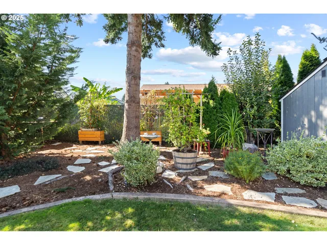 a view of a backyard