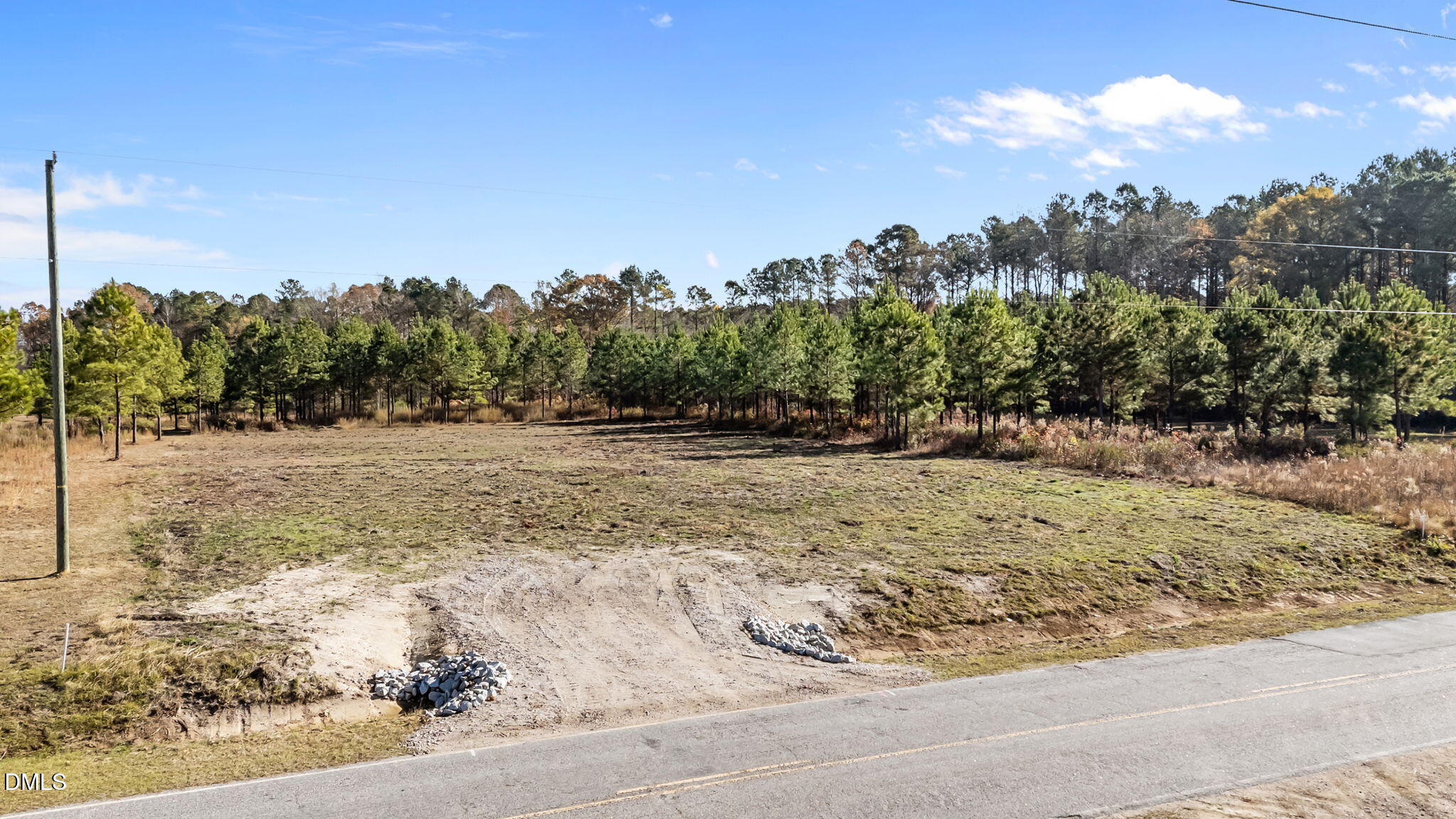 10 Grover Road Nashville, NC 27856 - Photo 2 of 12 a view of a dry yard with trees