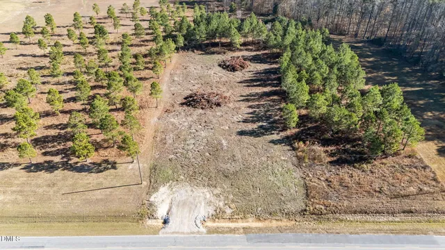 a view of a dry yard with trees