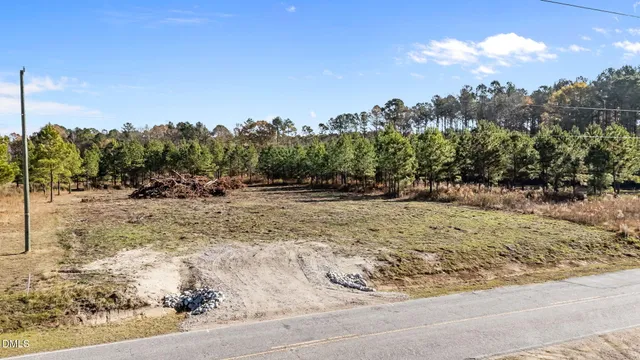 a view of a yard of a building