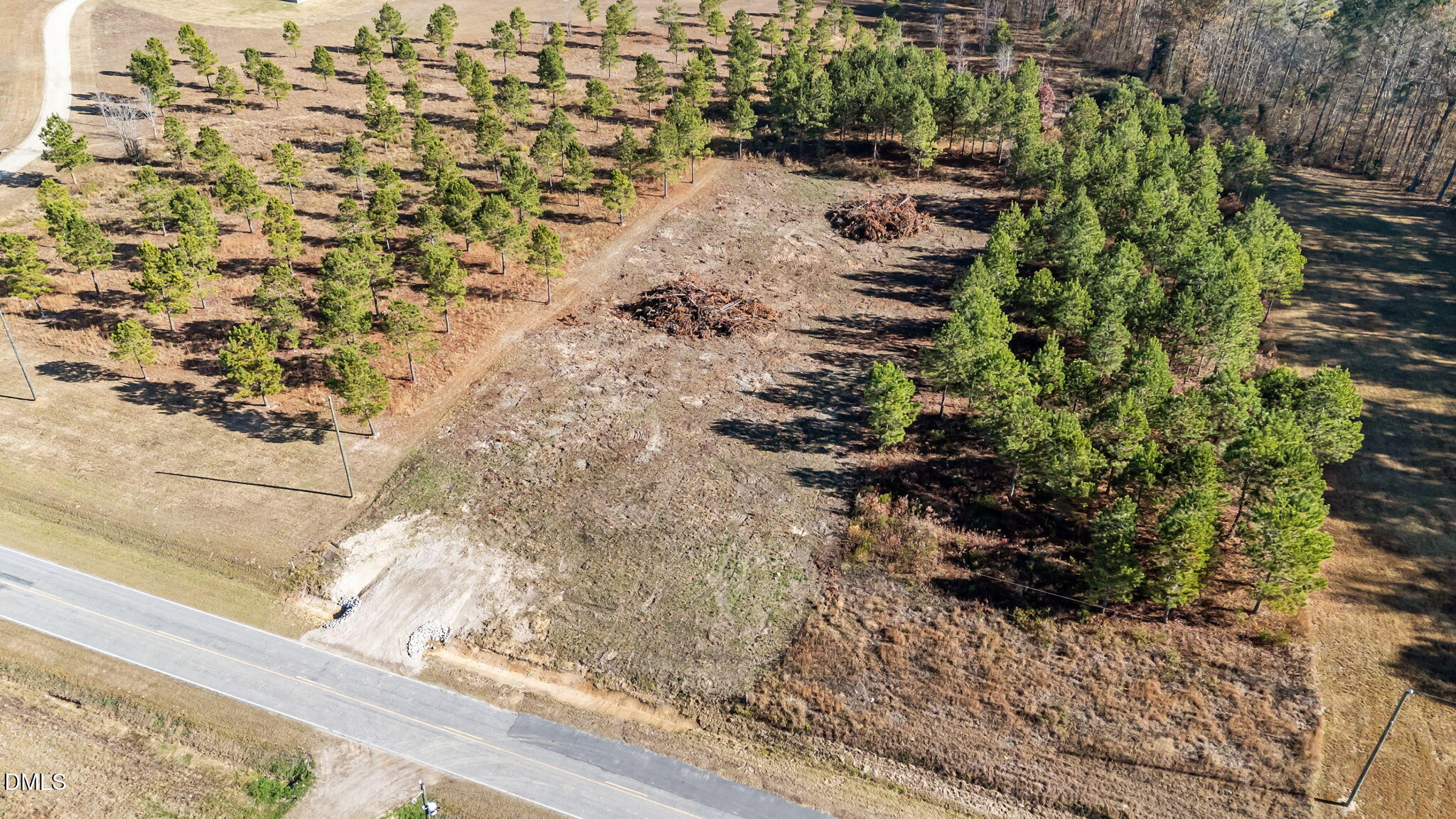 10 Grover Road Nashville, NC 27856 - Photo 6 of 12 a view of a yard with plants