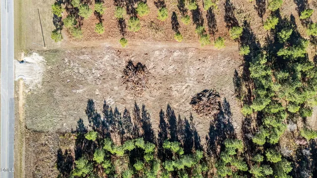 a view of a yard with a tree
